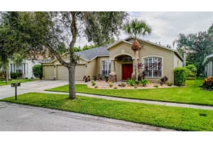 16211 BRIDGEPARK DRIVE, LITHIA, FL 33547 - MLS#MFRTB8424025