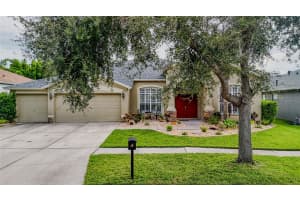16211 BRIDGEPARK DRIVE, LITHIA, FL 33547 - MLS#MFRTB8424025