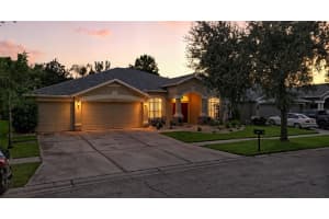 16211 BRIDGEPARK DRIVE, LITHIA, FL 33547 - MLS#MFRTB8424025