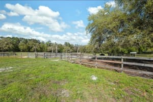 18530 LAKE LINDSEY ROAD, BROOKSVILLE, FL 34601 - MLS#MFRTB8424045