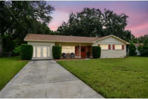 1719 OVERPAR DRIVE DRIVE, TAMPA, FL 33612 - MLS#MFRTB8424050