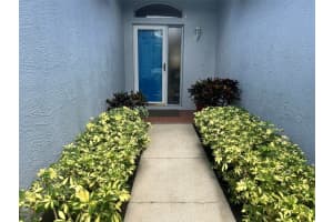 245 HEMINGWAY DRIVE, OLDSMAR, FL 34677 - MLS#MFRTB8424057
