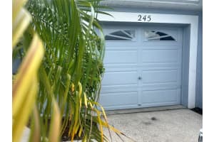 245 HEMINGWAY DRIVE, OLDSMAR, FL 34677 - MLS#MFRTB8424057