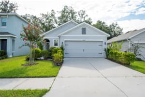 32857 Brooks Hawk Ln, WESLEY CHAPEL