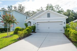 32857 BROOKS HAWK LANE, WESLEY CHAPEL, FL 33543 - MLS#MFRTB8424076