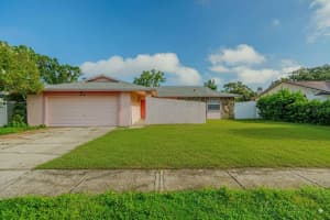 13503 Capitol Dr, TAMPA