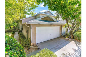 1746 HERON COVE DRIVE, LUTZ, FL 33549 - MLS#MFRTB8424079