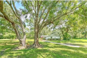17311 DARBY LANE, LUTZ, FL 33558 - MLS#MFRTB8424086