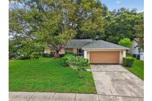 3602 PLAYER DRIVE, NEW PORT RICHEY, FL 34655 - MLS#MFRTB8424093