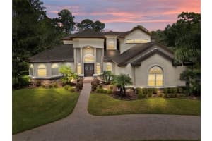 10826 ALICO PASS, NEW PORT RICHEY, FL 34655 - MLS#MFRTB8424096