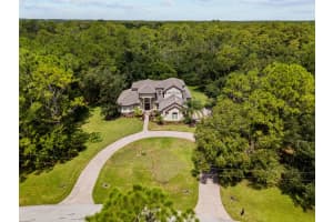 10826 ALICO PASS, NEW PORT RICHEY, FL 34655 - MLS#MFRTB8424096