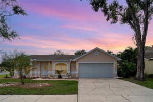 11512 WELLMAN DRIVE, RIVERVIEW, FL 33578 - MLS#MFRTB8424111