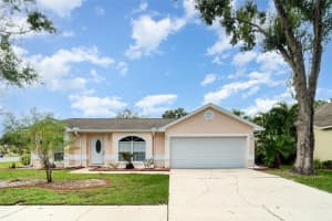 11512 WELLMAN DRIVE, RIVERVIEW, FL 33578 - MLS#MFRTB8424111