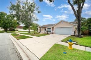 11512 WELLMAN DRIVE, RIVERVIEW, FL 33578 - MLS#MFRTB8424111