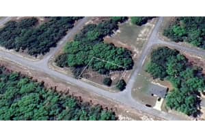 SW 138 LN, OCALA, FL 34473 - MLS#MFRTB8424113