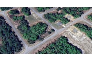 SW 138 LN, OCALA, FL 34473 - MLS#MFRTB8424113