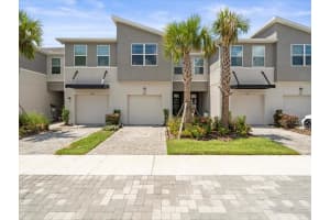 5513 Brooklet Woods Dr, WESLEY CHAPEL