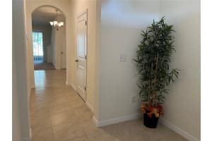 3816 VIGNOBLE LANE, BRANDON, FL 33511 - MLS#MFRTB8424150