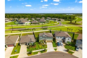 22083 BLAZING STAR RUN, LAND O LAKES, FL 34637 - MLS#MFRTB8424172