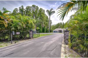 15907 RACE TRACK ROAD, ODESSA, FL 33556 - MLS#MFRTB8424188