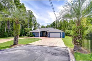 15907 RACE TRACK ROAD, ODESSA, FL 33556 - MLS#MFRTB8424188