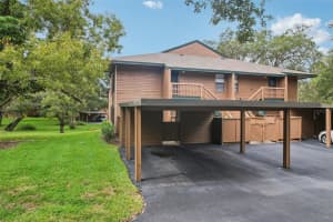 2407 CYPRESS POND ROAD, PALM HARBOR, FL 34683 - MLS#MFRTB8424189