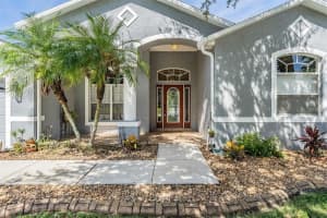 25001 BANDANA COURT, LAND O LAKES, FL 34639 - MLS#MFRTB8424212