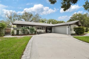 11331 N Oakleaf Ave, TAMPA