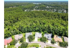 4125 KIRKALDY DRIVE, PALM HARBOR, FL 34685 - MLS#MFRTB8424219