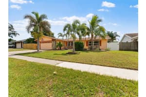 1436 WEXFORD DRIVE, PALM HARBOR, FL 34683 - MLS#MFRTB8424221