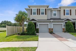 1053 AMBER LEAF TRAIL, WESLEY CHAPEL, FL 33544 - MLS#MFRTB8424229
