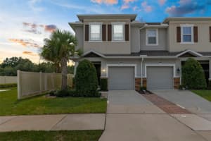 1053 AMBER LEAF TRAIL, WESLEY CHAPEL, FL 33544 - MLS#MFRTB8424229