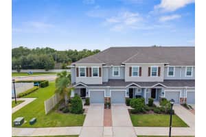 1053 AMBER LEAF TRAIL, WESLEY CHAPEL, FL 33544 - MLS#MFRTB8424229