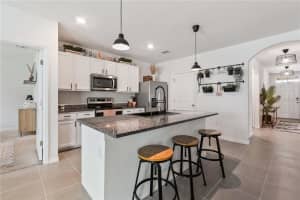 15830 SEA CANARY PLACE, ODESSA, FL 33556 - MLS#MFRTB8424233
