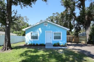 1513 W Mohawk Ave, TAMPA