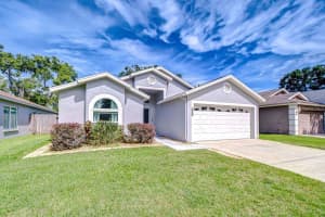 11103 Indian Oaks Dr, TAMPA