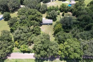 36830 JUDEE DRIVE, ZEPHYRHILLS, FL 33541 - MLS#MFRTB8424279