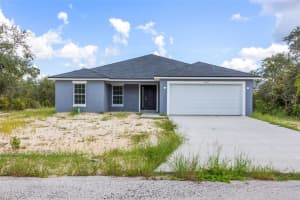 1219 ALAFIA WAY, KISSIMMEE, FL 34759 - MLS#MFRTB8424302