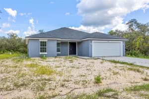 1219 ALAFIA WAY, KISSIMMEE, FL 34759 - MLS#MFRTB8424302