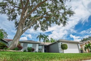 8309 WRENS WAY, LARGO, FL 33773 - MLS#MFRTB8424336