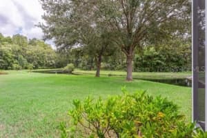 11506 DAMPIER COURT, NEW PORT RICHEY, FL 34654 - MLS#MFRTB8424368