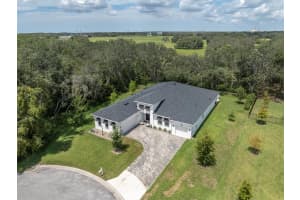 12954 MARABOU DRIVE, SPRING HILL, FL 34610 - MLS#MFRTB8424377