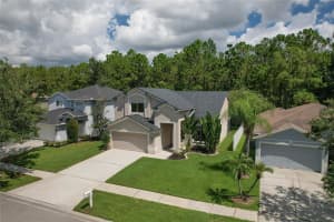 13234 ROYAL GEORGE AVENUE, ODESSA, FL 33556 - MLS#MFRTB8424389
