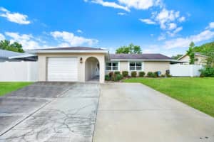14312 ARBOR HILLS ROAD, TAMPA, FL 33625 - MLS#MFRTB8424403