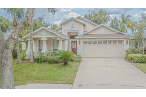 18024 Arbor Crest Dr, TAMPA