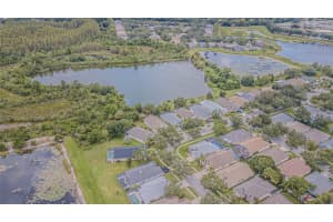 18024 ARBOR CREST DRIVE, TAMPA, FL 33647 - MLS#MFRTB8424427