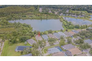 18024 ARBOR CREST DRIVE, TAMPA, FL 33647 - MLS#MFRTB8424427