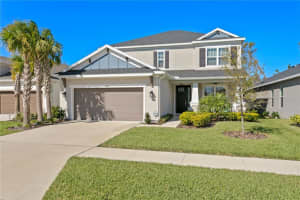 2612 Leafwing Ct, PALM HARBOR