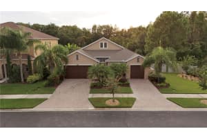 32331 Firemoss Ln, WESLEY CHAPEL