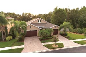 32331 FIREMOSS LANE, WESLEY CHAPEL, FL 33543 - MLS#MFRTB8424446